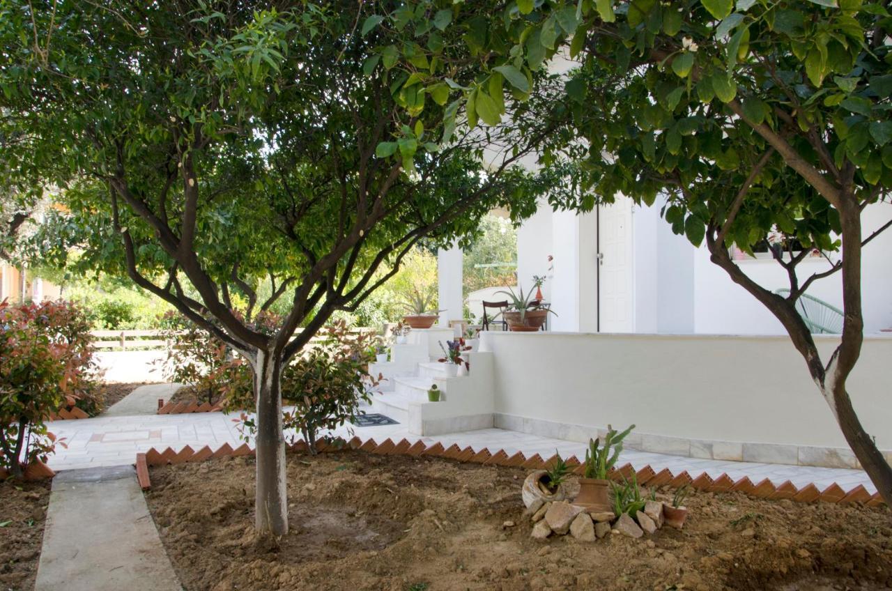 Garden House Palaio Faliro アテネ エクステリア 写真