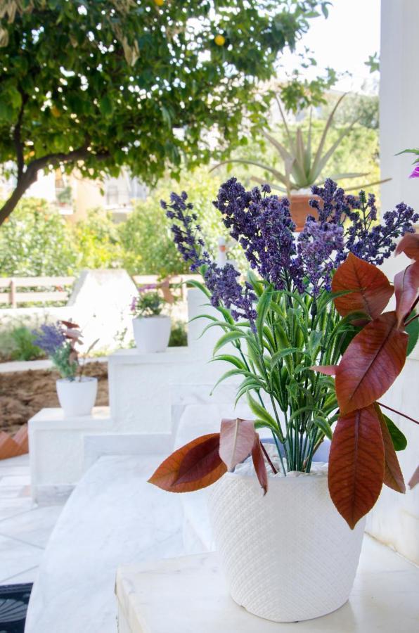 Garden House Palaio Faliro アテネ エクステリア 写真