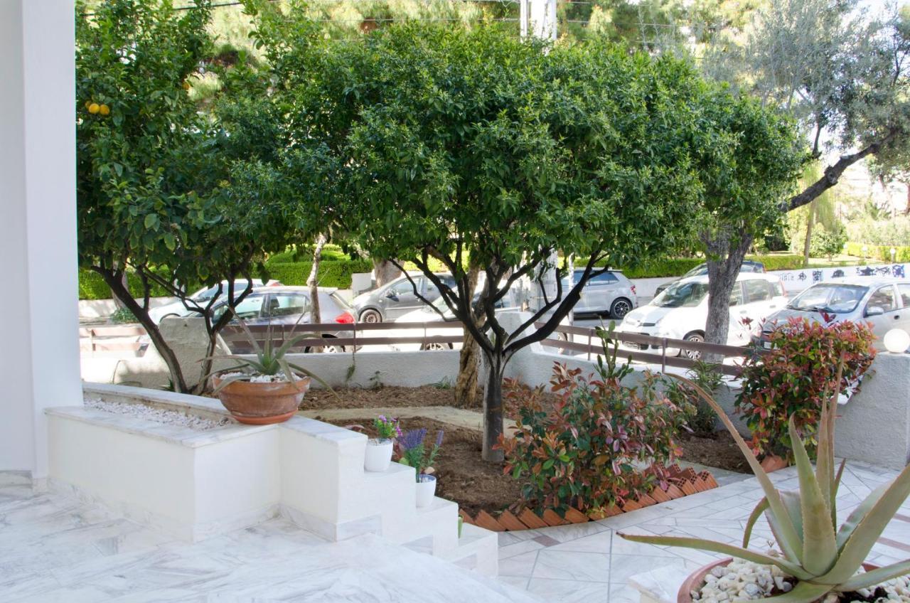 Garden House Palaio Faliro アテネ エクステリア 写真