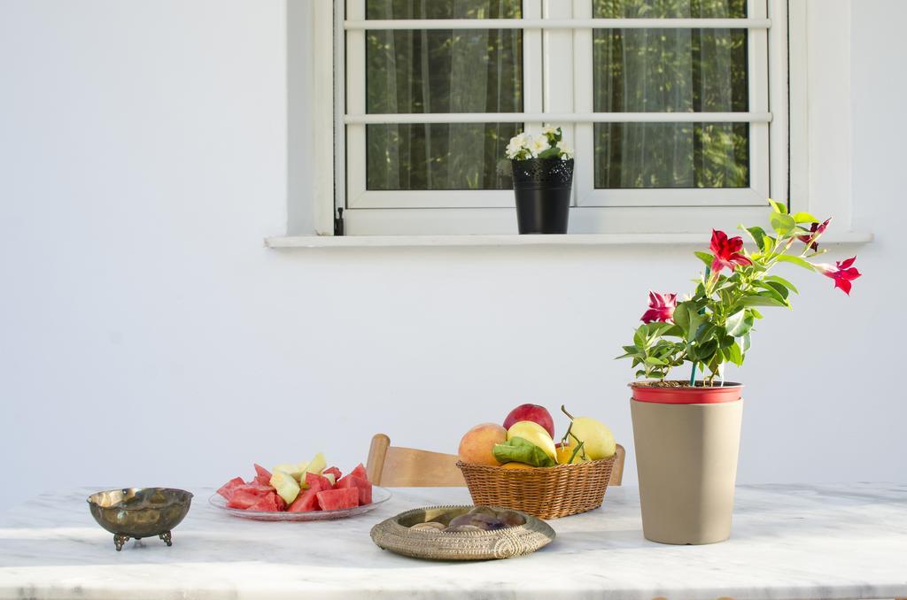 Garden House Palaio Faliro アテネ エクステリア 写真